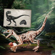 Charger l'image dans la galerie, Rolife Vélociraptor - Puzzle 3D Mécanique en Bois