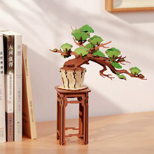 Charger l'image dans la galerie, Rolife Evergreen Pine Bonsai - Bonsaï en bois exposé sur une étagère