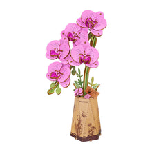 Charger l'image dans la galerie, Rowood Purple Moth Orchid - Orchidée en bois montée, vue détourée