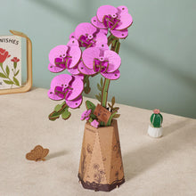 Charger l'image dans la galerie, Rowood Purple Moth Orchid - Orchidée en bois dans son pot en carton