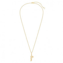 Charger l'image dans la galerie, Collier plaqué or 18 carats CHOCLI "love snake" - serpent d'amour