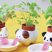 Charger l'image dans la galerie, Mise en scène amusante de la collection de pots Peropon chat, chien et panda avec des plantes ayant déjà poussé.