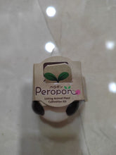 Charger l'image dans la galerie, Détail de l'emballage en carton du kit de plantation Peropon avec son logo feuille.