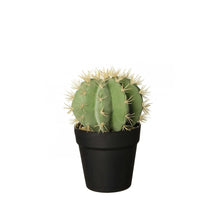 Charger l'image dans la galerie, Cactus Artificiel Décoratif - ASA Selection
