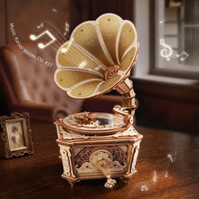 Charger l'image dans la galerie, ROKR Diva Gramophone - Détail du disque en acrylique et de la pointe
