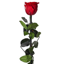 Charger l&#39;image dans la galerie, Rose artificielle à offrir - 30 cm
