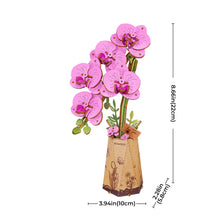 Charger l'image dans la galerie, Rowood Purple Moth Orchid - Schéma coté : 22 cm de haut
