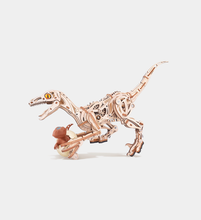 Charger l'image dans la galerie, Rolife Vélociraptor - Puzzle 3D Mécanique en Bois
