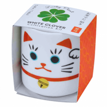 Charger l'image dans la galerie, Kit de culture japonais avec son pot en céramique Maneki Neko dans sa boîte cartonnée orange.
